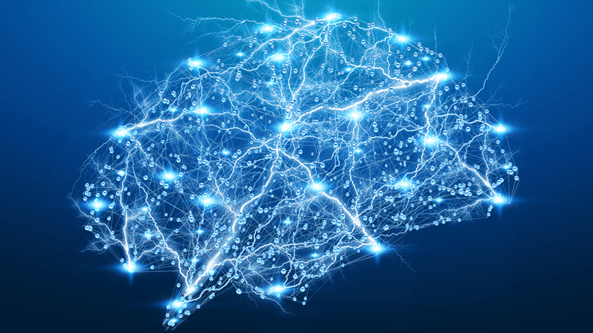 neural-activity-brain